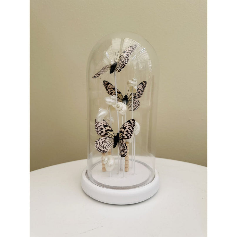 Parelmoeren Schelpen Vlinderdecoratie 14 *26cm (YF-10)