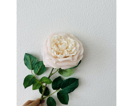 QMF Touch Rose 65cm Light pink 2PCS
