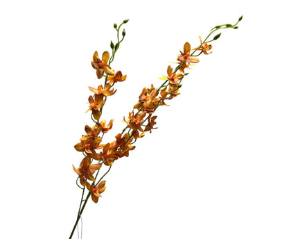 Yellow Phalaenopsis | Zijden kunstbloem | Lengte 100 1pcs