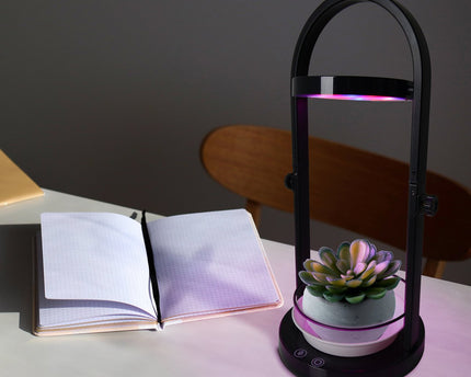LED -plantentablet Licht 53,5 cm hoog, gemaakt van metaal en plastic in het zwart, met geïntegreerde LED