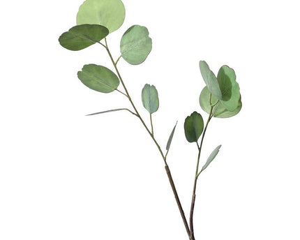 Decoratieve bloem van lichtgroene eucalyptus H65cm