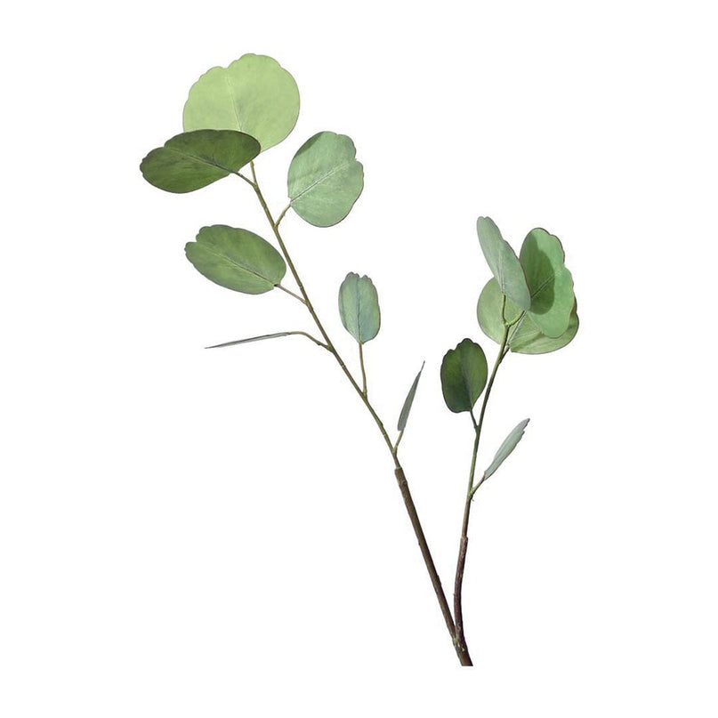 Decoratieve bloem van lichtgroene eucalyptus H65cm
