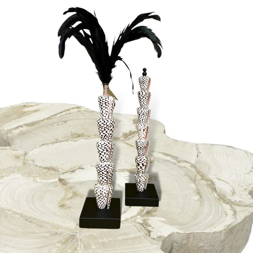 Papua tiger shell with veren on stand(5 shell)