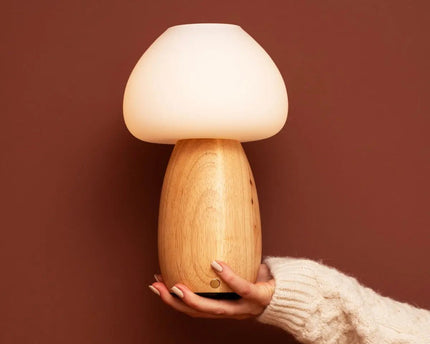 Beer lichtbruin stijlvol oplaadbare lamp-draadloos, dimbaar, milieuvriendelijk ontwerp