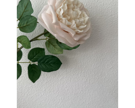 QMF Touch Rose 65cm Light pink 2PCS