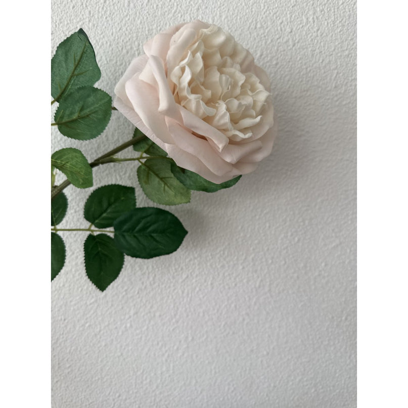 QMF Touch Rose 65cm Light pink 2PCS