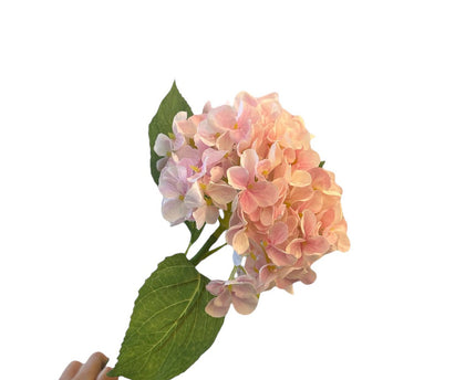 Kortstengelige frisse hortensia | Zijden kunstbloem | Lengte 47cm  1pcs
