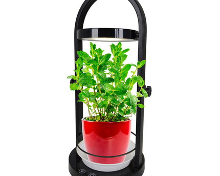 LED -plantentablet Licht 53,5 cm hoog, gemaakt van metaal en plastic in het zwart, met geïntegreerde LED