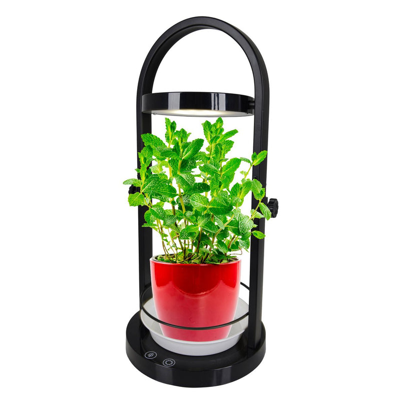 LED -plantentablet Licht 53,5 cm hoog, gemaakt van metaal en plastic in het zwart, met geïntegreerde LED