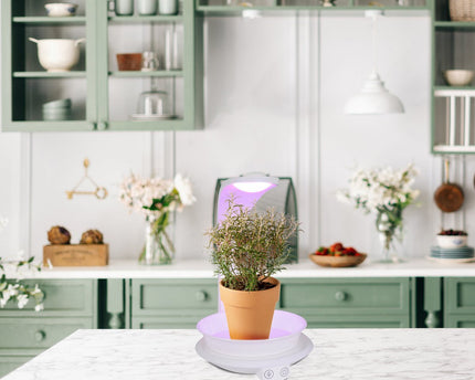 LED -plantentablet Licht 24 cm hoog, gemaakt van metaal en plastic in het wit, met geïntegreerde LED
