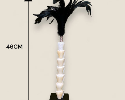 Papua white shell with veren on stand（7 shell)