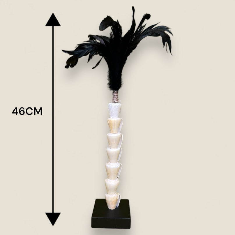 Papua white shell with veren on stand(7 shell)