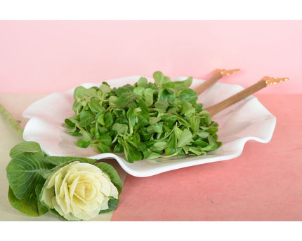 Roze presentatieplaat in melamine 40x40x5cm
