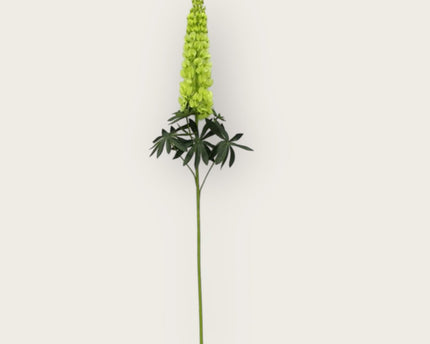 Lupinus Micranthus Groente | Zijden kunstbloem | Lengte 105cm