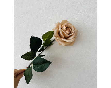 QMF Hand Touch Rose72cm Champagne 2PCS
