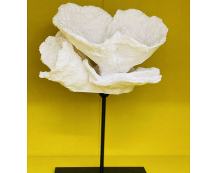 Koraal bloem