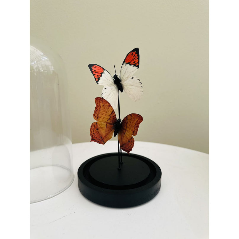 two vlinder 11 * 21cm (YF-08)