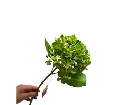 Artificial flowers Hydrangea Macrophylla Green | Zijden kunstbloem | Lengte 50 1pcs