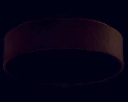 LED plafondlamp "Carla" d:45cm