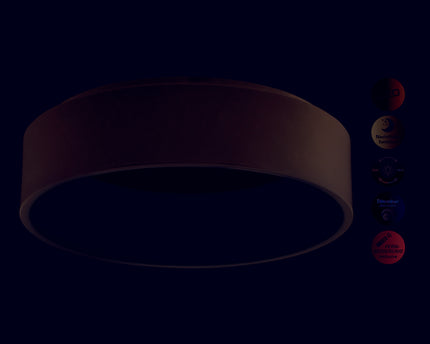 LED plafondlamp "Carla" d:45cm