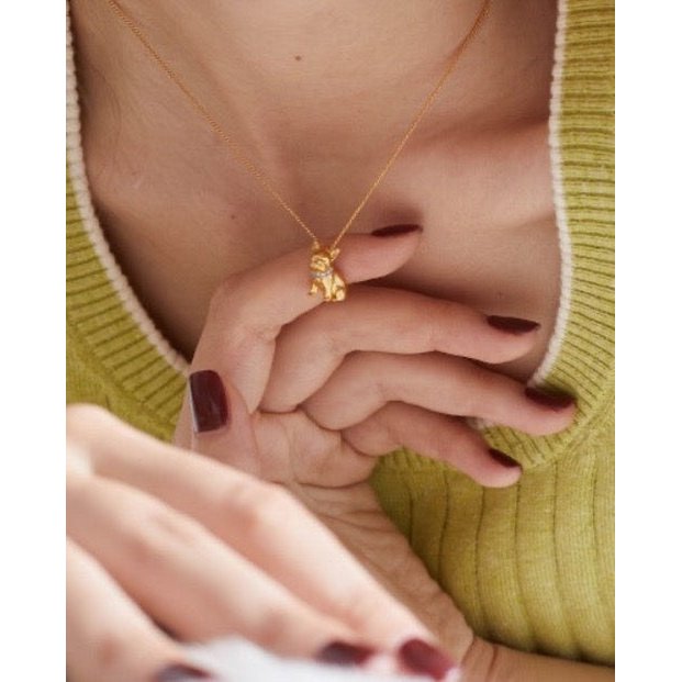Schattige Franse Bulldog charme ketting