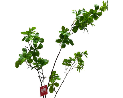 Tropaeolum speciosum Green | Zijden kunstbloem | Lengte 110 1pcs