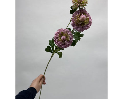 Scabiosa | Zijden kunstbloem | Lengte 80cm  2pcs wit