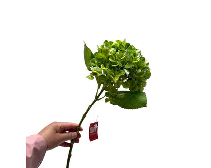 Artificial flowers Hydrangea Macrophylla Green | Zijden kunstbloem | Lengte 50 1pcs