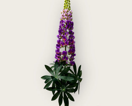 Lupinus micranthus Zijden kunstbloem | Lengte 105cm