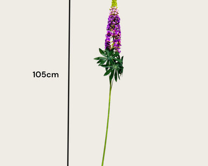 Lupinus micranthus Zijden kunstbloem | Lengte 105cm