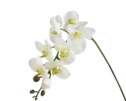 Witte orchidee decoratieve bloem h100cm