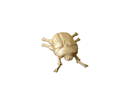 Gouden decoratieve kever 12x9x4 cm