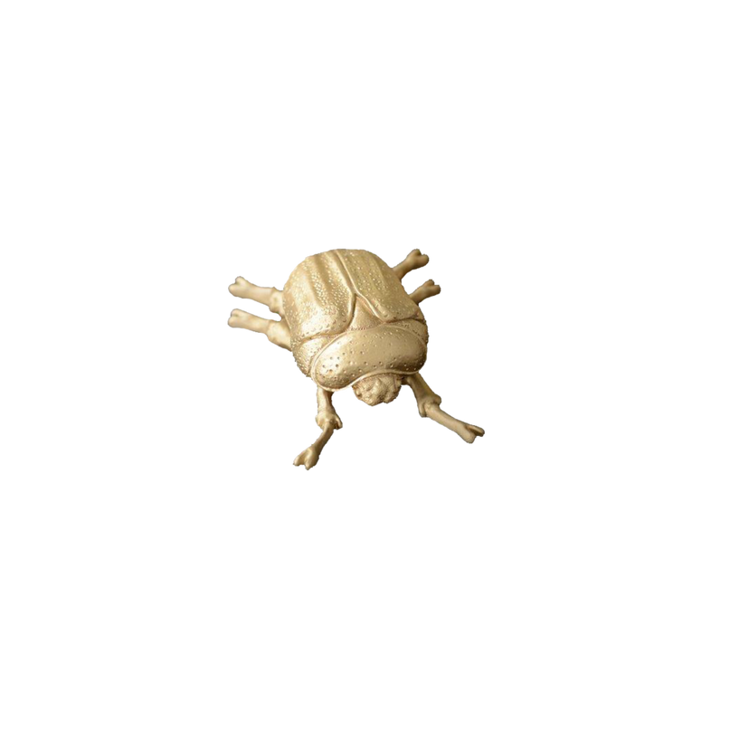 Gouden decoratieve kever 12x9x4 cm