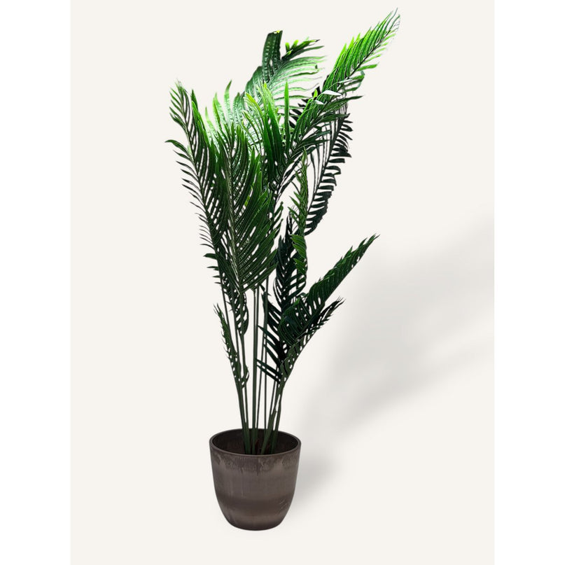 Phoenix Kunstplant met Pot   |  kunstplant | Lengte 160cm 1pcs