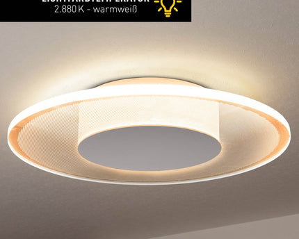 LED plafondlamp "Modesto" d: 29cm