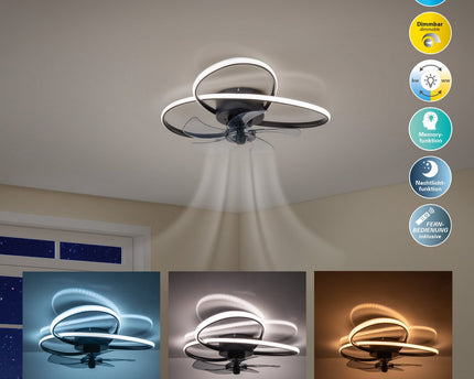Het moderne LED -plafondlicht "Leccio" inclusief ventilator, nachtlichtfunctie, dim- en lichttemperatuurinstelling is uitgerust met stevig geïnstalleerde LED's en heeft een geschatte Øvon 58 cm.