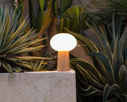 Max lichtbruine houten oplaadbare tafellamp met glas en oplaadbare batterij | Dimbare en veelzijdige verlichting