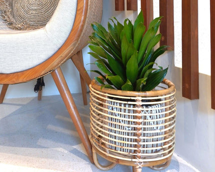 Rotan plantenstandaard plantenbak bloempothouder MALANG beige