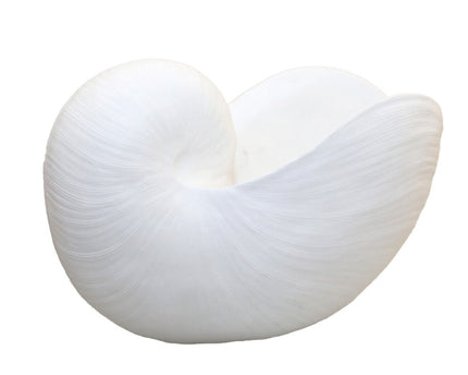 Decoratieve witte schaal 29x16.5x20.5 cm