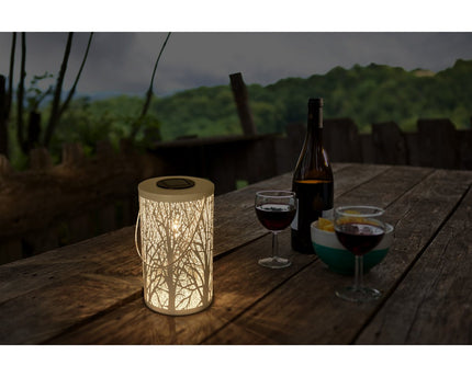LED Decoratie Solar Light White
