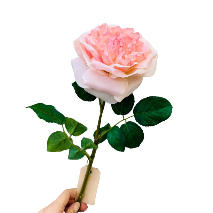 QMF Hand Touch Roos 65cm