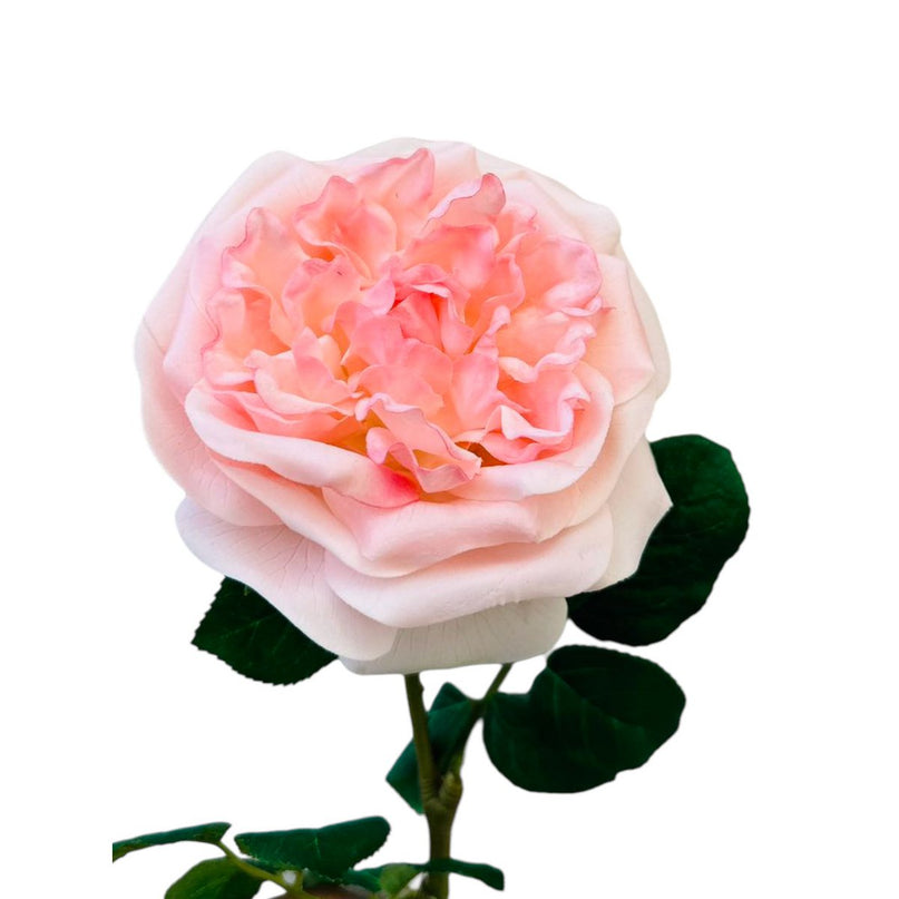 QMF Hand Touch Roos 65cm