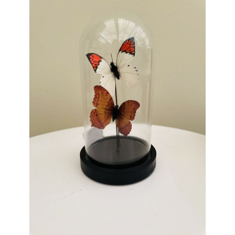 two vlinder 11 * 21cm (YF-08)