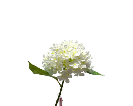 Artificial flowers Hydrangea Macrophylla White | Zijden kunstbloem | Lengte 50 1pcs