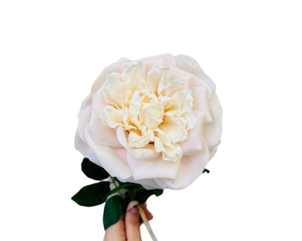 QMF Hand Touch Roos 65cm