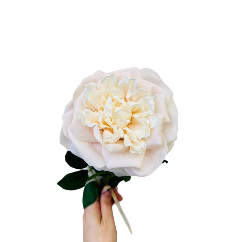 QMF Hand Touch Roos 65cm