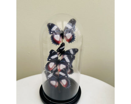 Vlinderdecoratie 14 *26cm （YF-11）