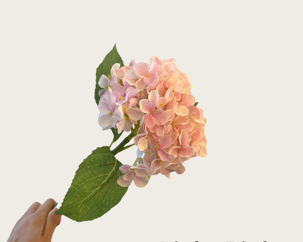 Kortstengelige frisse hortensia | Zijden kunstbloem | Lengte 47cm  1pcs