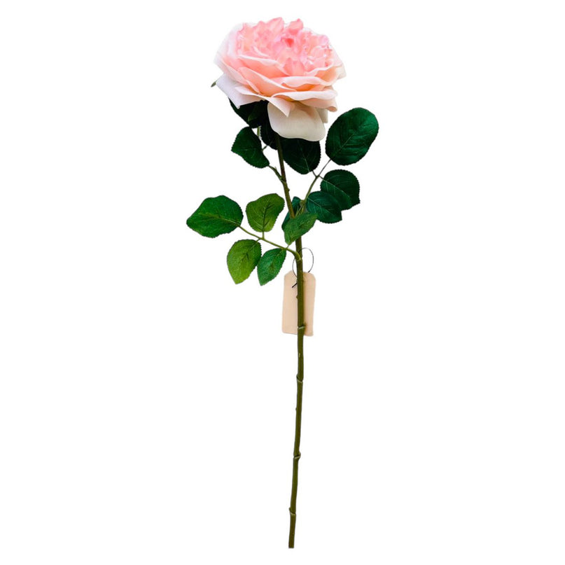 QMF Hand Touch Roos 65cm