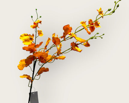 Oranje Oncidium | Zijden kunstbloem | Lengte 97cm  1pcs